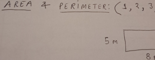 AREA G PERIMETER: (1,2,3)