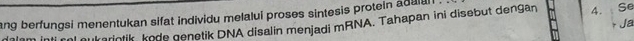 ang berfungsi menentukan sifat individu melalui proses sintesis protein adulan 
Ja 
nukarintik kode genetik DNA disalin menjadi mRNA. Tahapan ini disebut dengan 4. Se