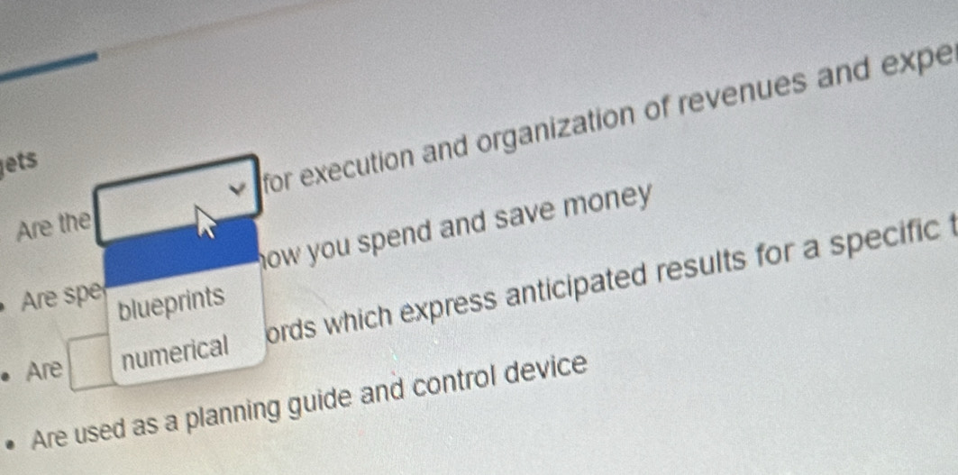 for execution and organization of revenues and expe 
ets 
Are the 
how you spend and save money . 
Are spe blueprints 
• Are numerical ords which express anticipated results for a specific 
Are used as a planning guide and control device