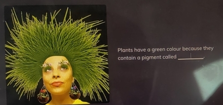 Plants have a green colour because they 
contain a pigment called_