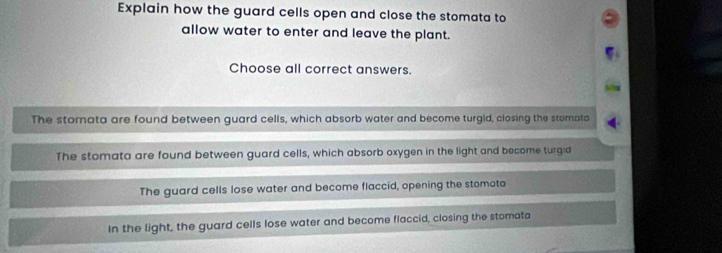 Explain how the guard cells open and close the stomata to
allow water to enter and leave the plant.
Choose all correct answers.
The stomata are found between guard cells, which absorb water and become turgid, closing the stomota
The stomata are found between guard cells, which absorb oxygen in the light and become turgid
The guard cells lose water and become flaccid, opening the stomata
In the light, the guard cells lose water and become flaccid, closing the stomata