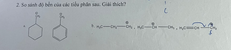 So sánh độ bền của các tiểu phân sau. Giải thích?
b, H_3C _  -CH_2to^(oplus ,H_2)C-beginarrayr oplus  CHendarray -CH-CH_3,H_2C=CH-frac CHfrac sqrt(C)