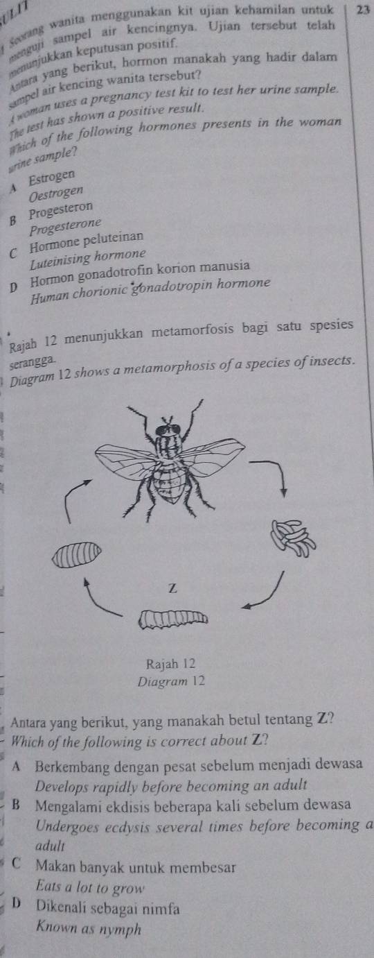 ven
Sœrang wanita menggunakan kit ujian kehamilan untuk 23
menguji sampel air kencingnya. Ujian tersebut telah
menunjukkan keputusan positif
Antara yang berikut, hormon manakah yang hadir dalam
sampel air kencing wanita tersebut?
4 woman uses a pregnancy test kit to test her urine sample.
The test has shown a positive result.
wrine sample? which of the following hormones presents in the woman
A Estrogen
Oestrogen
B Progesteron
Progesterone
C Hormone peluteinan
Luteinising hormone
D Hormon gonadotrofin korion manusia
Human chorionic gonadotropin hormone
Rajah 12 menunjukkan metamorfosis bagi satu spesies
serangga.
Diagram 12 shows a metamorphosis of a species of insects.
Antara yang berikut, yang manakah betul tentang Z?
Which of the following is correct about Z?
A Berkembang dengan pesat sebelum menjadi dewasa
Develops rapidly before becoming an adult
B Mengalami ekdisis beberapa kali sebelum dewasa
Undergoes ecdysis several times before becoming a
adult
C Makan banyak untuk membesar
Eats a lot to grow
D Dikenalí sebagai nimfa
Known as nymph
