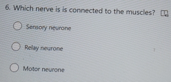 Which nerve is is connected to the muscles?
Sensory neurone
Relay neurone
Motor neurone