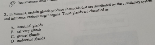 hormones and 
2. In humans, certain glands produce chemicals that are distributed by the circulatory system
and influence various target organs. These glands are classified as
A. intestinal glands
C. gastric glands B. salivary glands
D. endocrine glands