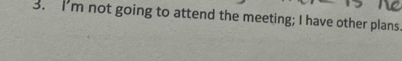 I'm not going to attend the meeting; I have other plans.