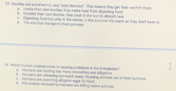 Reptiles are ectothermic, aka "cold blooded". This means they get their warmth from:
a. Inside their own bodies; they make heat from digesting food
b. Outside their own bodies, they bask in the sun to absorb heat
c. Digesting food but only in the winter; in the summer it's warm so they don't have to
d. The electron transport chain process
24. Which human created crisis is causing problems in the Everglades?
a. Humans are hunting too many crocodiles and alligators
b. Humans are releasing too much water, flooding animals out of their burrows
c. Humans are poaching alligator eggs for food
d. Pet snakes released by humans are killing native animals
