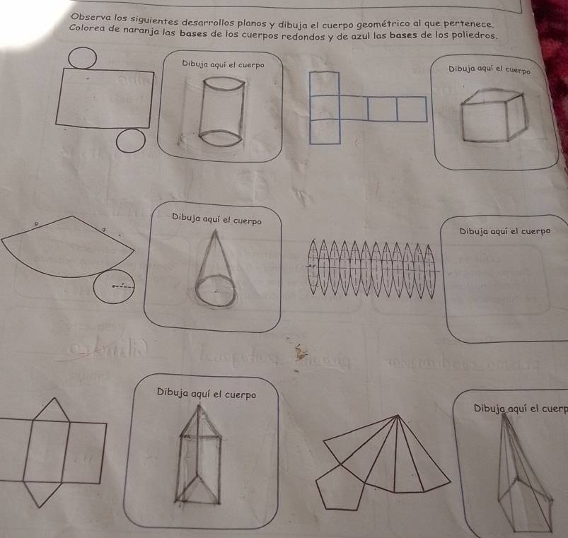 Observa los siguientes desarrollos planos y dibuja el cuerpo geométrico al que pertenece. 
Colorea de naranja las bases de los cuerpos redondos y de azul las bases de los poliedros. 
Dibuja aquí el cuerpo 
Dibuja aquí el cuerpo 
Dibuja aquí el cuerpo 
Dibuja aquí el cuerpo 
Dibuja aquí el cuerpo 
Dibuja aquí el cuerp