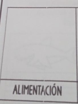 ALIMENTACIÓN