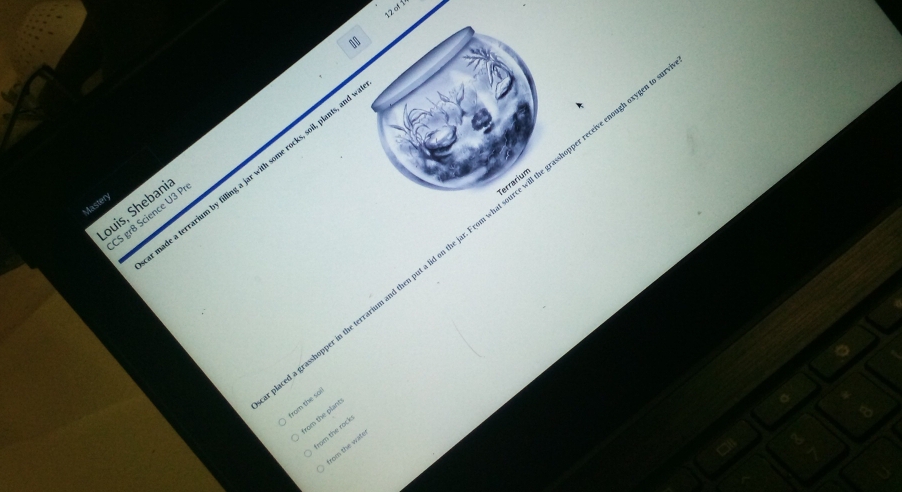 sade a terrarium by filling a jar with some rocks, soil, plants, an 
Terrarium 
Mastery 
ouis, Shebani 
CS gr8 Science U3 P 
grasshopper in the terrarium and then put a lid on the jar. From what source will the grasshopper receive enough ox 
rom the sai! 
rom the plant 
rom the rock 
tom the wate