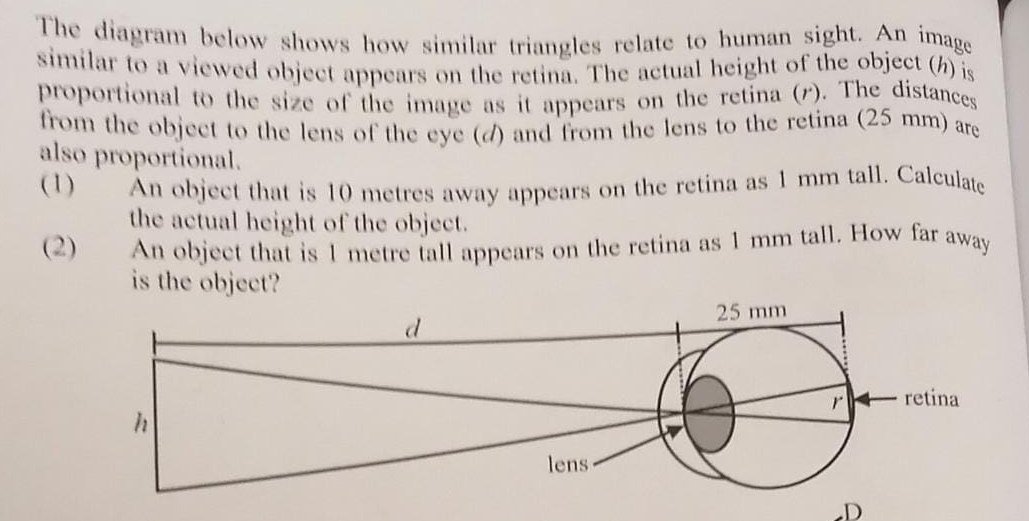 Solved: The diagram below shows how similar triangles relate to human ...