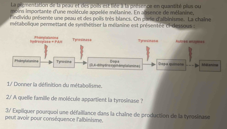 La pigmentation de la peau et des poils est liée à la présence en quantité plus ou
moins importante d'une molécule appelée mélanine. En absence de mélanine,
l'individu présente une peau et des poils très blancs. On parle d'albinisme. La chaîne
métabolique permettant de synthétiser la mélanine est présentée ci-dessous :
1/ Donner la définition du métabolisme.
2/ A quelle famille de molécule appartient la tyrosinase ?
3/ Expliquer pourquoi une défaillance dans la chaîne de production de la tyrosinase
peut avoir pour conséquence l'albinisme.