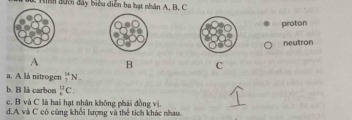 Hình đưới đầy biểu diễn ba hạt nhân A, B, C
proton
neutron
A
B
C
a. A là nitrogen _7^(14)N.
b. B là carbon _6^(12)C.
c. B và C là hai hạt nhân không phải đồng vị.
d.A và C có cùng khối lượng và thể tích khác nhau.