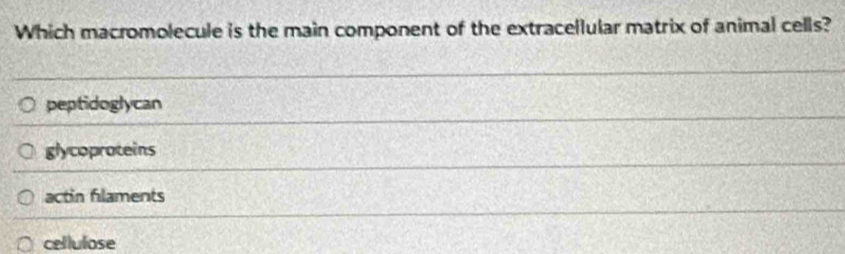 Which macromolecule is the main component of the extracellular matrix of animal cells?
peptidoglycan
glycoproteins
actin filaments
cellulose