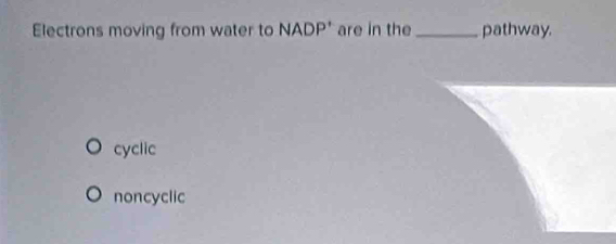 Electrons moving from water to NADP' are in the _pathway.
cyclic
noncyclic