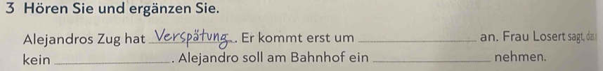 Hören Sie und ergänzen Sie. 
Alejandros Zug hat _. Er kommt erst um _an. Frau Losert sagt, das 
kein _. Alejandro soll am Bahnhof ein _nehmen.