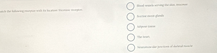 Blood vessels serving the skin, mucosae
atch the following receptor with its location: Nicotinic receptor.
Eccrine sweat glands
Adipose tissue
The beart
Neuromuscular junctions of skeletal muscle