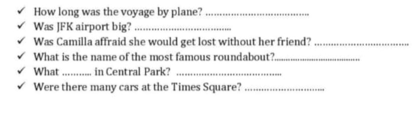 How long was the voyage by plane?_ 
Was JFK airport big?_ 
Was Camilla affraid she would get lost without her friend?_ 
What is the name of the most famous roundabout?_ 
What _in Central Park?_ 
Were there many cars at the Times Square?_