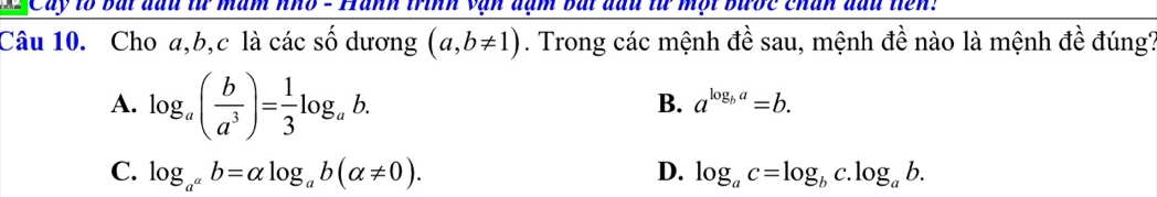 Cây to bài đầu lừ măm nho - Hành trinh vận đạm bắi đầu từ mội bưốc chân đầu tiên:
Câu 10. Cho a, b, c là các số dương (a,b!= 1). Trong các mệnh đề sau, mệnh đề nào là mệnh đề đúng?
A. log _a( b/a^3 )= 1/3 log _ab.
B. a^(log _b)a=b.
C. log _a^ab=alpha log _ab(alpha != 0). D. log _ac=log _bc.log _ab.