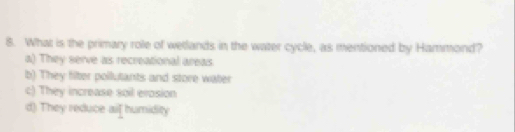 What is the primary role of wetlands in the water cycle, as mentioned by Hammond?
a) They serve as recreational areas
b) They filter pollutants and store water
c) They increase soil erosion
d) They reduce ail humidity