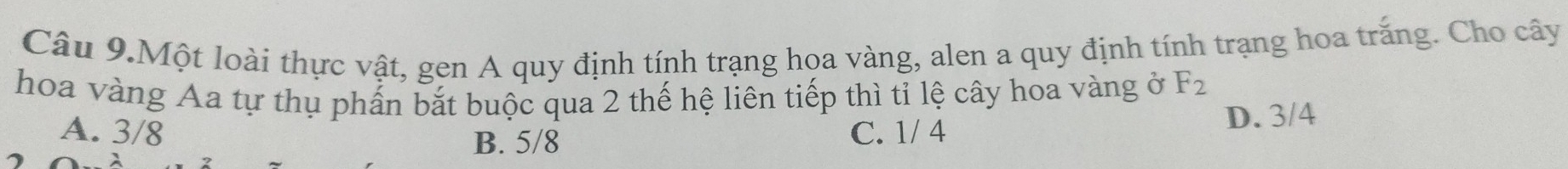 Câu 9.Một loài thực vật, gen A quy định tính trạng họa vàng, alen a quy định tính trạng hoa trắng. Cho cây
hoa vàng Aa tự thụ phần bắt buộc qua 2 thế hệ liên tiếp thì tỉ lệ cây hoa vàng ở F_2
A. 3/8 C. 1/ 4
D. 3/4
B. 5/8