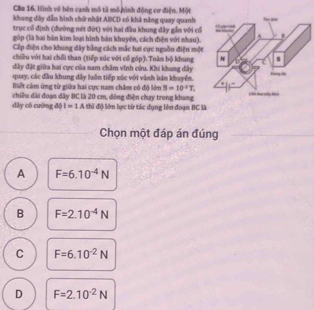 Hình về bên cạnh mô tả mô hình động cơ điện. Một
khung dây dẫn hình chữ nhật ABCD có khả năng quay quanh
trục cổ định (đường nét đứt) với hai đầu khung dây gần với cổ
góp (là hai bản kim loại hình bản khuyên, cách điện với nhau).
Cấp điện cho khung dây bằng cách mắc hai cực nguồn điện một
chiều với hai chối than (tiếp xúc với cổ góp). Toàn bộ khung
đảy đặt giữa hai cực của nam chấm vĩnh cửu. Khi khung dấy
quay, các đầu khung dây luôn tiếp xúc với vành bán khuyên.
Biết cảm ứng từ giữa hai cực nam châm có độ lớn B=10^(-3)T, 
chiều dài đoạn dây BC là 20 cm, dòng điện chạy trong khung
dây có cường độ I=1A thì độ lớn lực từ tác dụng lên đoạn BC là
Chọn một đáp án đúng
A F=6.10^(-4)N
B F=2.10^(-4)N
C F=6.10^(-2)N
D F=2.10^(-2)N