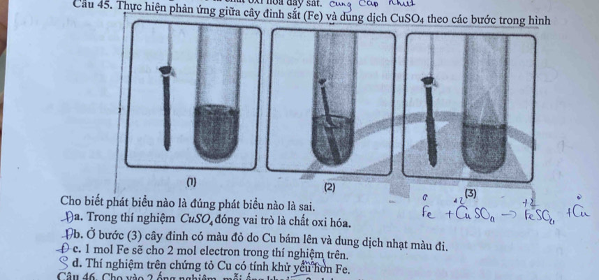 hoa day sat. C u 
Cầu 45. Thực hiện phản ứng giữa cây đình sắt (Fe) và dung dịch CuSO4 theo các bước trong hình
(2)
(3)
C 4 
Cho biết phát biểu nào là đúng phát biểu nào là sai.
Ha. Trong thí nghiệm CuSO đóng vai trò là chất oxi hóa.
Vb. Ở bước (3) cây đinh có màu đỏ do Cu bám lên và dung dịch nhạt màu đi.
Đ c. 1 mol Fe sẽ cho 2 mol electron trong thí nghiệm trên.
d. Thí nghiệm trên chứng tỏ Cu có tính khử yểu hơn Fe.
Câu 46, Cho vào 2 ống nghi