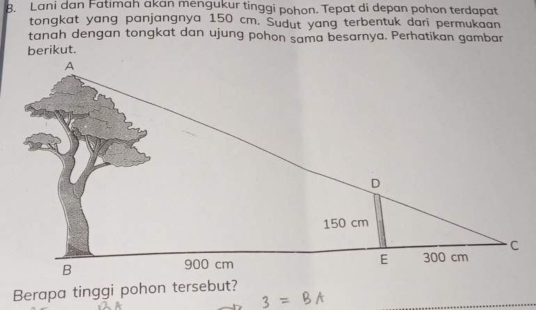 Lani dan Fatimah akan mengukur tinggi pohon. Tepat di depan pohon terdapat 
tongkat yang panjangnya 150 cm. Sudut yang terbentuk dari permukaan 
tanah dengan tongkat dan ujung pohon sama besarnya. Perhatikan gambar 
Berapa tinggi pohon tersebut?