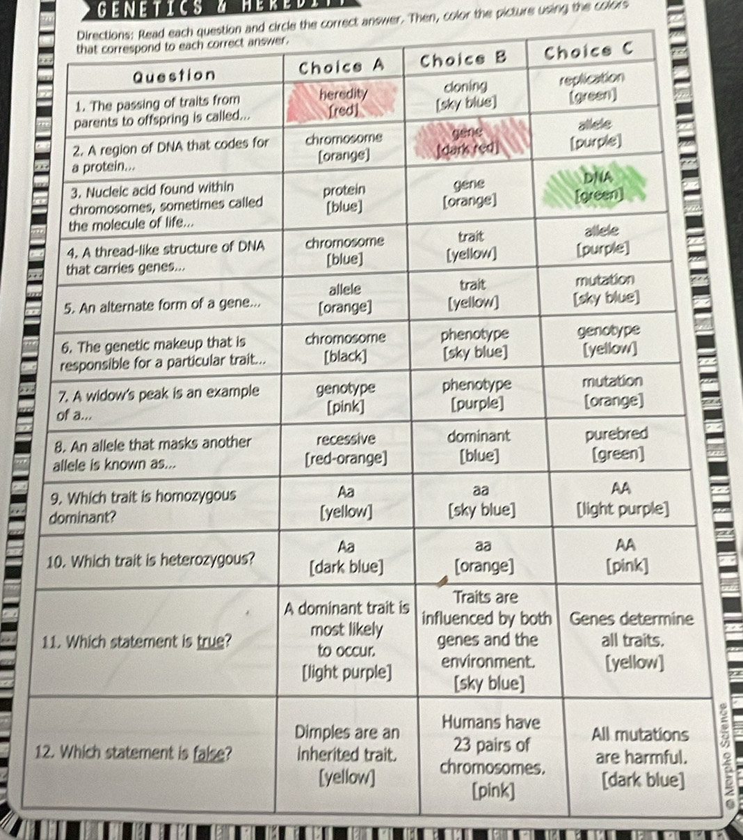 GENETICS 
Directions: Read each question and circle the correct answer. Then, color the picture using the colors 
answer. 
1