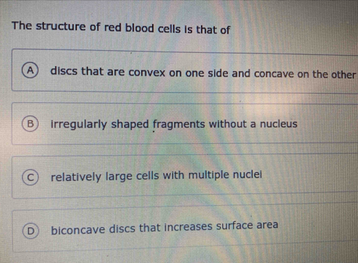 The structure of red blood cells is that of
A ) discs that are convex on one side and concave on the other
B irregularly shaped fragments without a nucleus
relatively large cells with multiple nuclei
biconcave discs that increases surface area