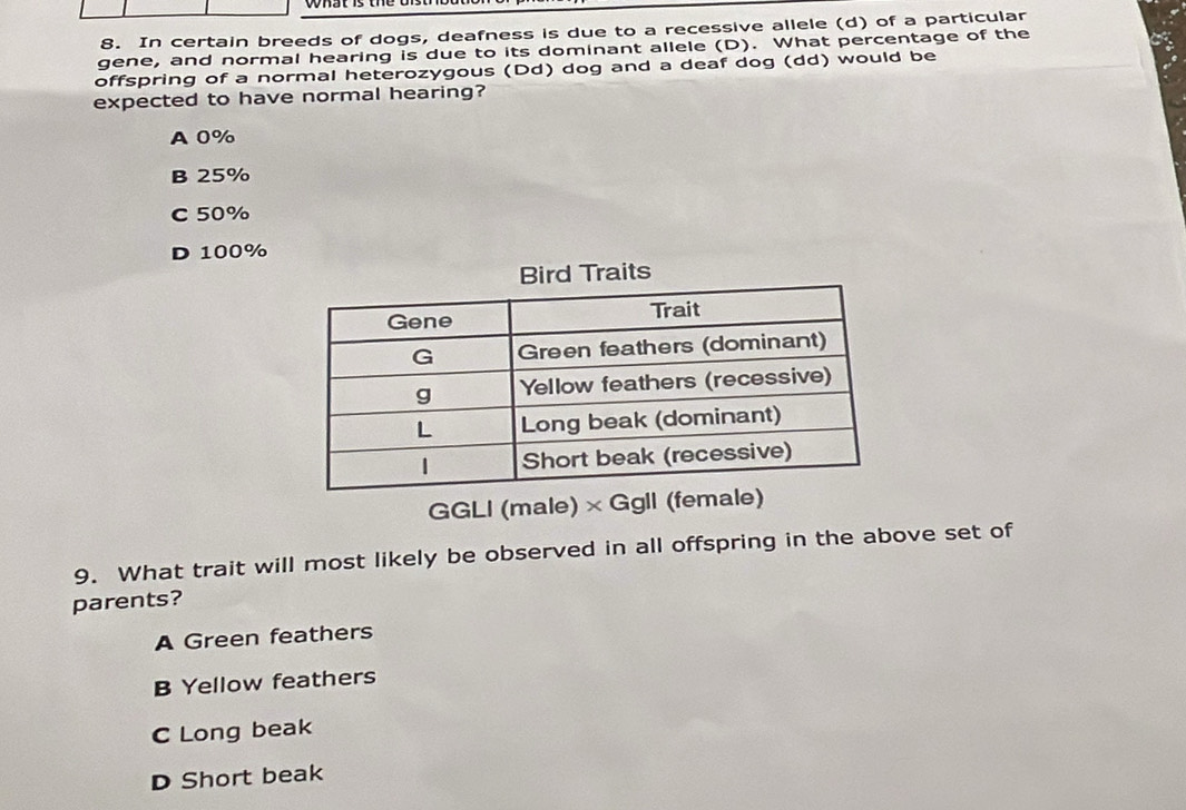 In certain breeds of dogs, deafness is due to a recessive allele (d) of a particular
gene, and normal hearing is due to its dominant allele (D). What percentage of the
offspring of a normal heterozygous (Dd) dog and a deaf dog (dd) would be
expected to have normal hearing?
A 0%
B 25%
C 50%
D 100%
s
GGLI (male) × Gg
9. What trait will most likely be observed in all offspring in the above set of
parents?
A Green feathers
B Yellow feathers
C Long beak
D Short beak