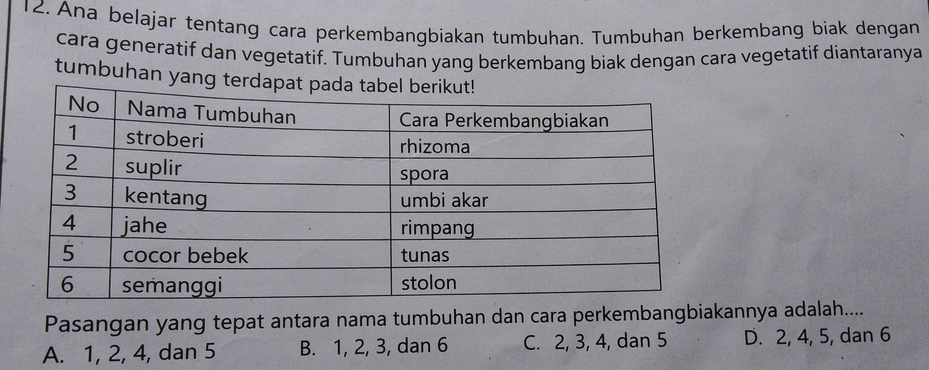 Ana belajar tentang cara perkembangbiakan tumbuhan. Tumbuhan berkembang biak dengan
cara generatif dan vegetatif. Tumbuhan yang berkembang biak dengan cara vegetatif diantaranya
tumbuhan yang 
Pasangan yang tepat antara nama tumbuhan dan cara perkembangbiakannya adalah....
A. 1, 2, 4, dan 5 B. 1, 2, 3, dan 6 C. 2, 3, 4, dan 5
D. 2, 4, 5, dan 6