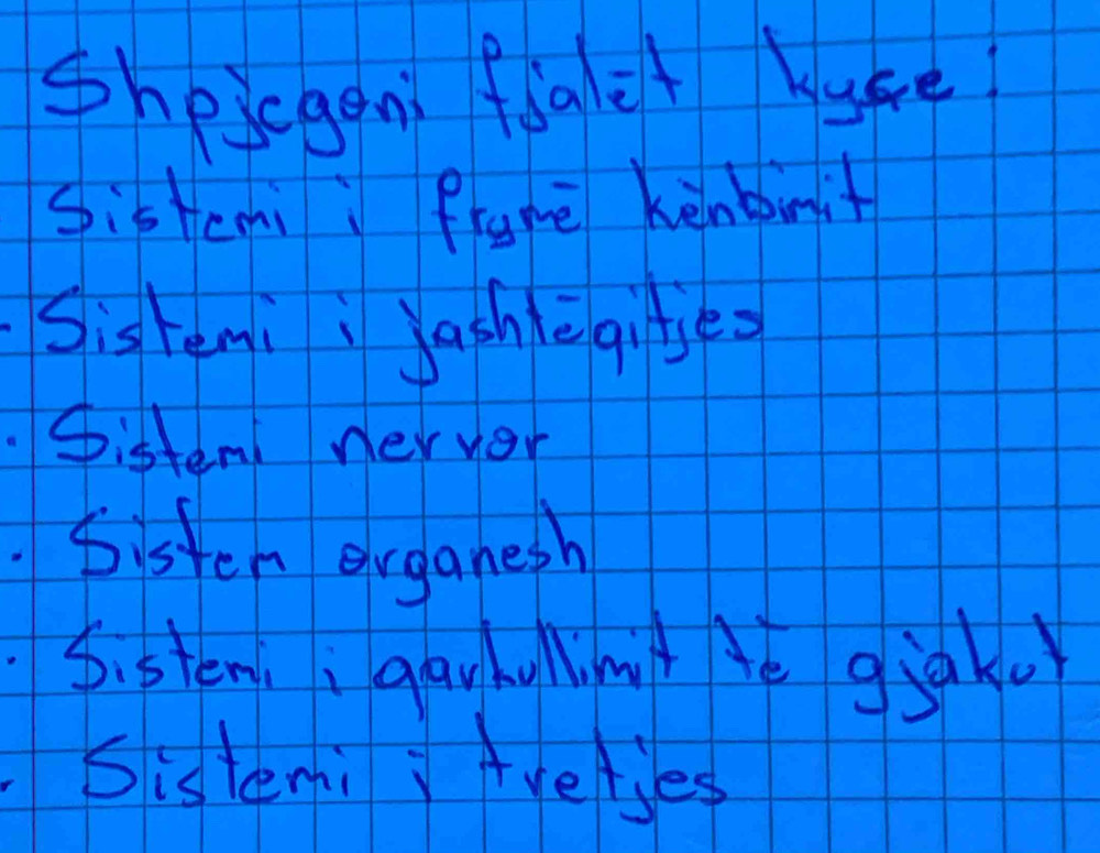 Shopicgon flaet buke 
Sisteni i Prame kenbinit 
Sishemii ashlegte. 
Sistent nervor 
Sisten euganesh 
Sipten qay hullmt è gjako 
Sistemi Ayelies