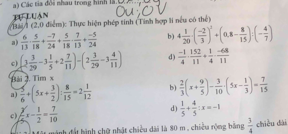 Các tia đồi nhau trong hình lá. 
Tự luận 
Bài 1 (2,0 điểm): Thực hiện phép tính (Tính hợp lí nếu có thể) 
a)  6/13 ·  5/18 + (-7)/24 + 5/18 ·  7/13 + (-5)/24  b) 4 1/20 · ( (-2)/3 )^2+(0,8- 8/15 ):(- 4/7 )
c) (3 3/29 -3 1/5 +2 7/11 )-(2 3/29 -3 4/11 ) d)  (-1)/4 ·  152/11 + 1/4 ·  (-68)/11 
Bài 2. Tìm x 
a)  5/6 +(5x+ 3/2 ): 8/15 =2 1/12 
b)  2/3 (x+ 9/5 )- 3/10 · (5x- 1/3 )= 7/15 
c)  3/5 x- 1/2 = 7/10 
d)  1/5 + 4/5 :x=-1
mảnh đất hình chữ nhật chiều dài là 80 m , chiều rộng băng  3/4  chiều dài