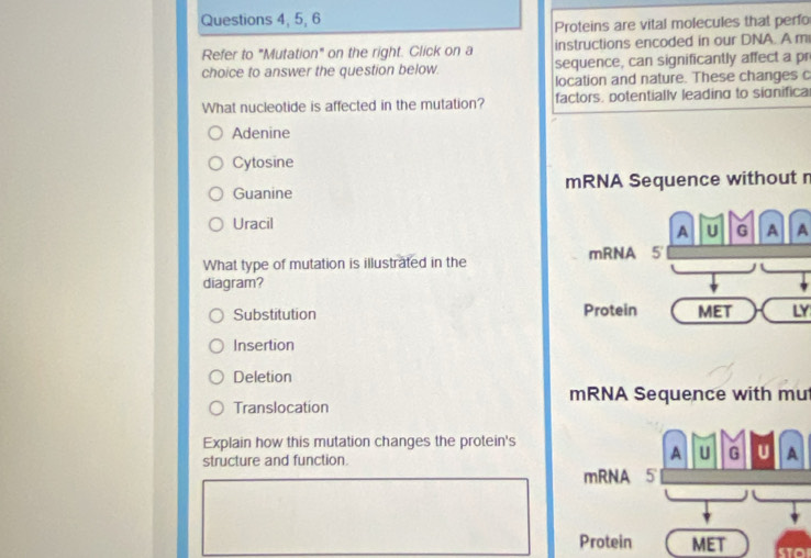 Questions 4, 5, 6
Proteins are vital molecules that perfo
Refer to "Mutation" on the right. Click on a instructions encoded in our DNA. A m
choice to answer the question below. sequence, can significantly affect a pr
location and nature. These changes c
What nucleotide is affected in the mutation? factors. potentially leading to significal
Adenine
Cytosine
Guanine mRNA Sequence without n
Uracil
A
What type of mutation is illustrated in the 
diagram?
Substitution LY
Insertion
Deletion
mRNA Sequence with mut
Translocation
Explain how this mutation changes the protein's
structure and function.