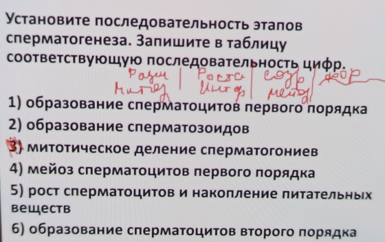 Установите последовательность эталов 
сперматогенеза. Запишите в таблицу 
соответствуюшую последовательность циφр, 
1) образование спермаτοциτов πервого πорядка 
2) образование сперматозоидов 
3) митотическое деление слерматогониев 
4) мейоз слерматоцитов πервого πорядка 
5) рост слерматоцитов и наколление πитательньех 
bewеctb 
6) образование сперматοцитов второго πорядка