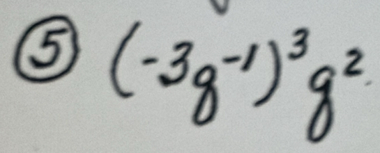 ⑤ (-3g^(-1))^3g^2