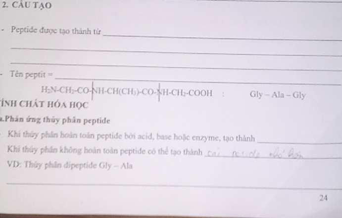 CÂU TẠO 
_ 
_ 
- Peptide được tạo thành từ 
_ 
_ 
_ 
Tên peptit = 
H₂N-CH₂-CO-NH-CH(CH₃)-CO-NH-CH₂-COOH : Gly - Ala - Gly 
tính chát hóa học 
* Phần ứng thủy phân peptide 
Khi thủy phần hoàn toàn peptide bởi acid, base hoặc enzyme, tạo thành 
_ 
_ 
Khi thúy phần không hoàn toàn peptide có thể tạo thành 
VD: Thủy phân dipeptide Gly - Ala 
_ 
24