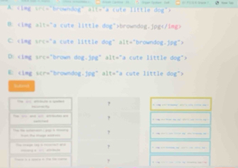 te little dog') 
B: alt="a cute little dog">browndog.jpg
C: "a cute little dog" alt="browndog.jpg"> 
D: "brown dog.jpg" alt="a cute little dog"> 
E: clmg scr="browndog. alt="a cute little dog"> 
? 
, 
? 
,