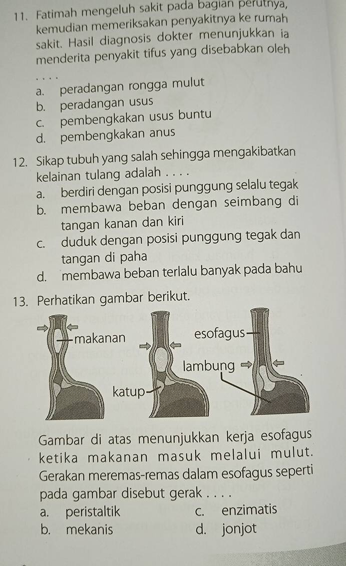 Fatimah mengeluh sakit pada bagian perutnya,
kemudian memeriksakan penyakitnya ke rumah
sakit. Hasil diagnosis dokter menunjukkan ia
menderita penyakit tifus yang disebabkan oleh
a. peradangan rongga mulut
b. peradangan usus
c. pembengkakan usus buntu
d. pembengkakan anus
12. Sikap tubuh yang salah sehingga mengakibatkan
kelainan tulang adalah . . . .
a. berdiri dengan posisi punggung selalu tegak
b. membawa beban dengan seimbang di
tangan kanan dan kiri
c. duduk dengan posisi punggung tegak dan
tangan di paha
d. membawa beban terlalu banyak pada bahu
13. Perhatikan gambar berikut.
Gambar di atas menunjukkan kerja esofagus
ketika makanan masuk melalui mulut.
Gerakan meremas-remas dalam esofagus seperti
pada gambar disebut gerak . . . .
a. peristaltik c. enzimatis
b. mekanis d. jonjot