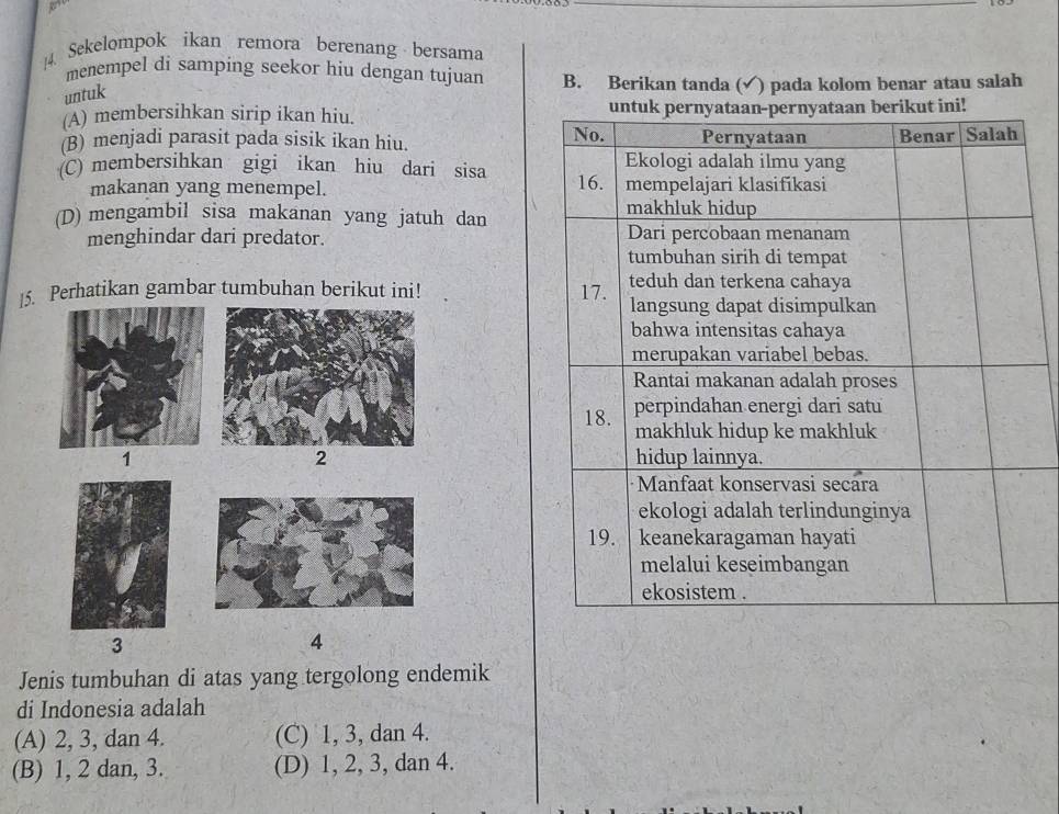 Sekelompok ikan remora berenang bersama
menempel di samping seekor hiu dengan tujuan B. Berikan tanda (√) pada kolom benar atau salah
untuk
(A) membersihkan sirip ikan hiu.
(B) menjadi parasit pada sisik ikan hiu.
(C) membersihkan gigi ikan hiu dari sisa
makanan yang menempel.
(D) mengambil sisa makanan yang jatuh dan
menghindar dari predator. 
15. Perhatikan gambar tumbuhan berikut ini!
2
1
3
4
Jenis tumbuhan di atas yang tergolong endemik
di Indonesia adalah
(A) 2, 3, dan 4. (C) 1, 3, dan 4.
(B) 1, 2 dan, 3. (D) 1, 2, 3, dan 4.