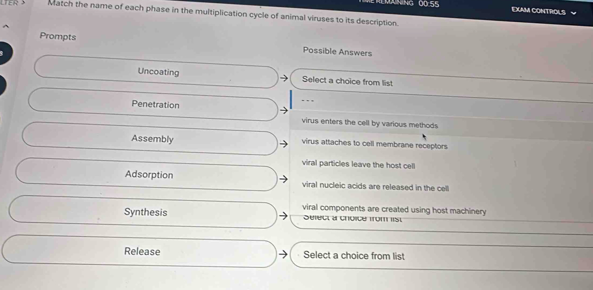 MAINING 00:55 EXAM CONTROLS
LTER > Match the name of each phase in the multiplication cycle of animal viruses to its description.
Prompts Possible Answers
Uncoating Select a choice from list
Penetration
virus enters the cell by various methods
Assembly virus attaches to cell membrane receptors
viral particles leave the host cell
Adsorption viral nucleic acids are released in the cell
viral components are created using host machinery
Synthesis Sélect à choice from list
Release Select a choice from list