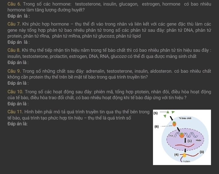 Trong số các hormone: testosterone, insulin, glucagon, estrogen, hormone có bao nhiêu 
hormone làm tăng lượng đường huyết? 
Đáp án là : 
Câu 7. Khi phức hợp hormone - thụ thể đi vào trong nhân và liên kết với các gene đặc thù làm các 
gene này tổng hợp phân tử bao nhiêu phân tử trong số các phân tử sau đây: phân tử DNA, phân tử 
protein, phân tử rRna, phân tử mRna, phân tử glucozơ, phân tử lipid 
Đáp án là : 
Câu 8. Khi thụ thể tiếp nhận tín hiệu nằm trong tế bào chất thì có bao nhiêu phân tử tín hiệu sau đây : 
insulin, testosterone, prolactin, estrogen, DNA, RNA, glucozơ có thể đi qua được màng sinh chất 
Đáp án là : 
Câu 9. Trong số những chất sau đây: adrenalin, testosterone, insulin, aldosteron. có bao nhiêu chất 
không cần protein thụ thể trên bề mặt tế bào trong quá trình truyền tin? 
Đáp án là : 
Câu 10. Trong số các hoạt động sau đây: phiên mã, tổng hợp ptotein, nhân đôi, điều hòa hoạt động 
của tế bào, điều hòa trao đổi chất, có bao nhiêu hoạt động khi tế bào đáp ứng với tín hiệu ? 
Đáp án là : 
Câu 11. Hình bên phải mô tả quá trình truyền tin qua thụ thể bên trong 
tế bào, quá trình tạo phức hợp tín hiệu - thụ thể là quá trình số 
Đáp án là: