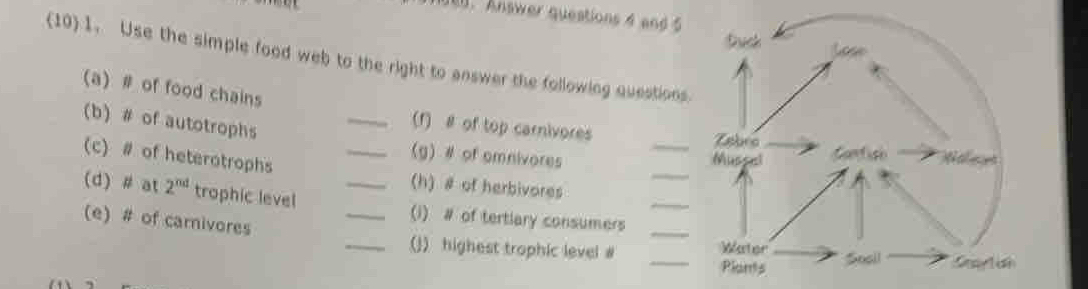 Answer questions 4 and 5 
(10) 1. Use the simple food web to the right to answer the following questions. 
(a) # of food chains 
(f) # of top carnivores 
(b) # of autotrophs __(g) # of omnivores 
_ 
(c) # of heterotrophs (h) # of herbivores 
(d) # at 2^(nd) trophic level __(i) # of tertiary consumers_ 
(e) # of carnivores 
_ 
_(j) highest trophic level # _