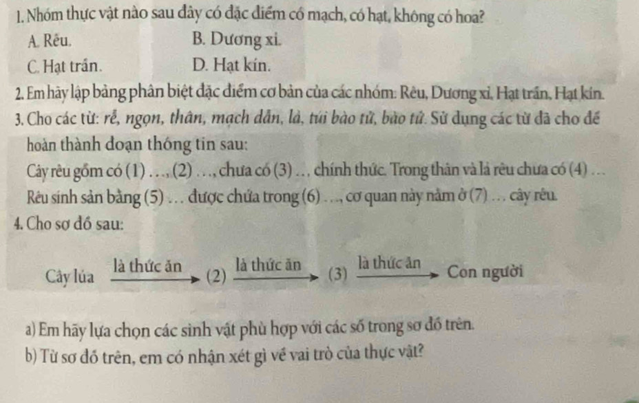 Nhóm thực vật nào sau đây có đặc điểm có mạch, có hạt, không có hoa?
A. Rêu. B. Dương xi.
C. Hạt trần. D. Hạt kin.
2. Em hãy lập bảng phân biệt đặc điểm cơ bản của các nhóm: Rêu, Dương xỉ, Hạt trần, Hạt kin.
3. Cho các từ: rể, ngọn, thân, mạch dẫn, là, túi bào tử, bào tử. Sử dụng các từ đã cho đế
hoàn thành doạn thông tin sau:
Cây rêu gồm có (1) . ., (2) . ., chưa có (3) ., chính thức. Trong thân và là rêu chưa có (4) …
Rêu sinh sản bằng (5) … được chứa trong (6) ., cơ quan này nằm ở (7) … cây rêu.
4. Cho sơ đồ sau:
Cây lúa là thức ăn (2) là thức ăn (3) là thức ăn Con người
a) Em hãy lựa chọn các sinh vật phù hợp với các số trong sơ đồ trên.
b) Từ sơ đó trên, em có nhận xét gì về vai trò của thực vật?