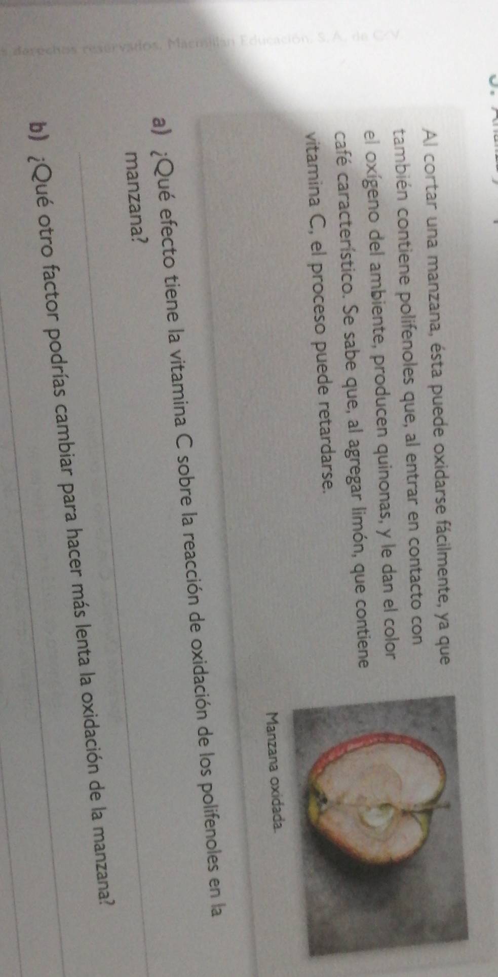 Al cortar una manzana, ésta puede oxidarse fácilmente, ya que 
también contiene polifenoles que, al entrar en contacto con 
el oxígeno del ambiente, producen quinonas, y le dan el color 
café característico. Se sabe que, al agregar limón, que contiene 
vitamina C, el proceso puede retardarse. 
Manzana oxidada. 
_ 
_ 
a) ¿Qué efecto tiene la vitamina C sobre la reacción de oxidación de los polifenoles en la 
manzana? 
_ 
b) ¿Qué otro factor podrías cambiar para hacer más lenta la oxidación de la manzana?