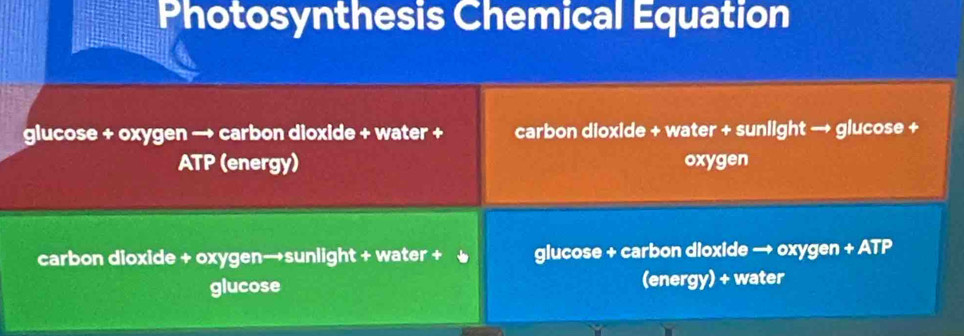 Photosynthesis Chemical Equation 
glucose + oxygen → carbon dioxide + water + carbon dioxide + water + sunlight → glucose + 
ATP (energy) oxygen 
carbon dioxide + oxygen→sunlight + water + glucose + carbon dioxide → oxygen + ATP 
glucose (energy) + water