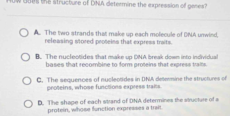 How uoes the structure of DNA determine the expression of genes?
A. The two strands that make up each molecule of DNA unwind,
releasing stored proteins that express traits.
B. The nucleotides that make up DNA break down into individual
bases that recombine to form proteins that express traits.
C. The sequences of nucleotides in DNA determine the structures of
proteins, whose functions express traits.
D. The shape of each strand of DNA determines the structure of a
protein, whose function expresses a trait.