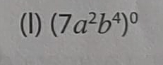 (7a^2b^4)^0