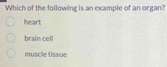 Which of the following is an example of an organ?
heart
brain cell
muscle tissue